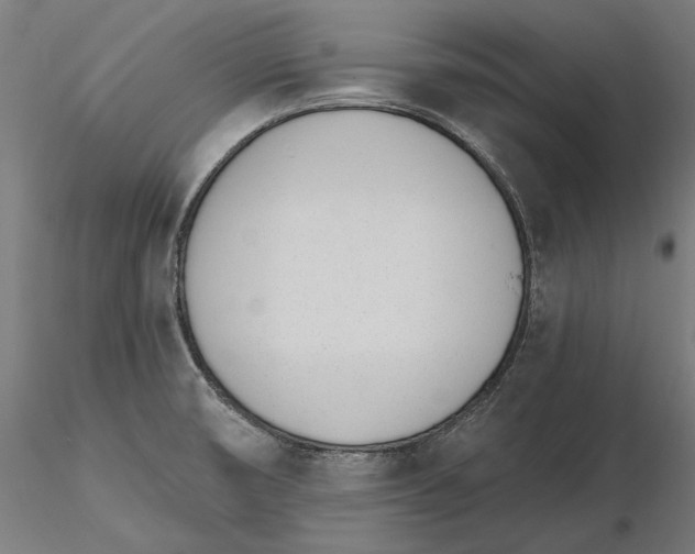 X0000116111474200912211622