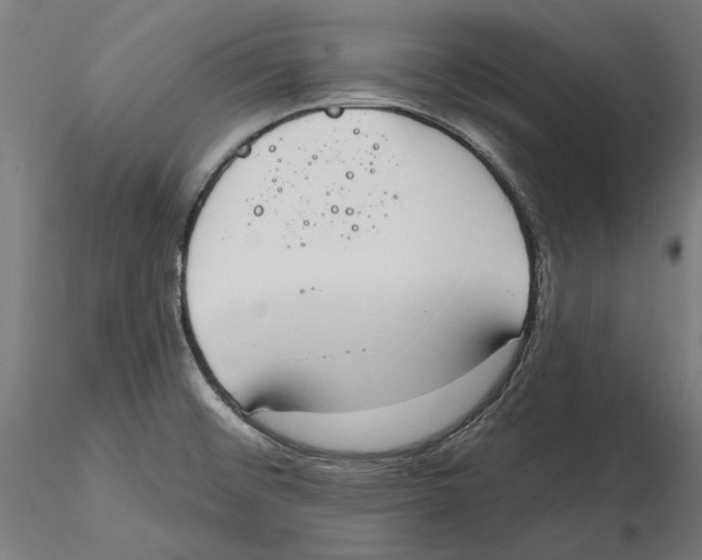 X0000116111476200912211622