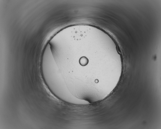 X0000116111477200912211622