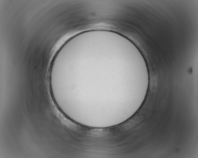 X0000116111478200912211622