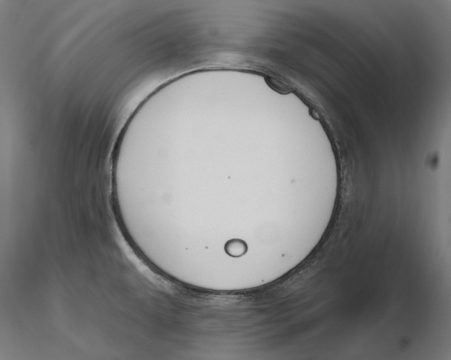 X0000116111479200912211622