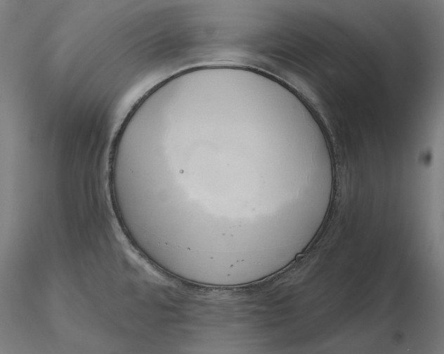 X0000116111480200912211622