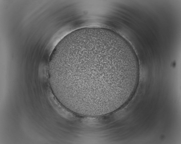 X0000116111481200912211622