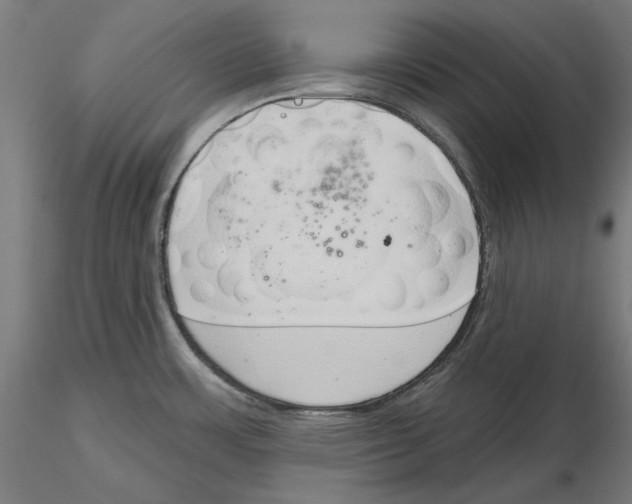 X0000116111483200912211622