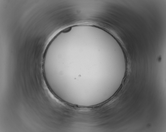 X0000116111484200912211622