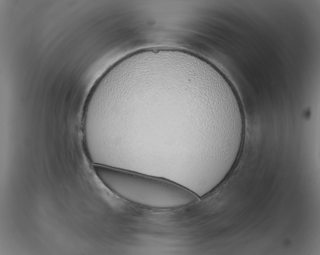 X0000116111485200912211622