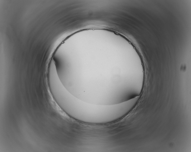 X0000116111488200912211622