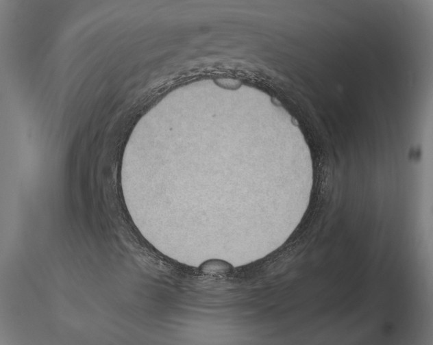 X0000116111489200912211621