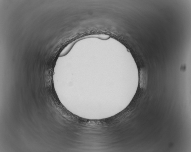 X0000116111491200912211621