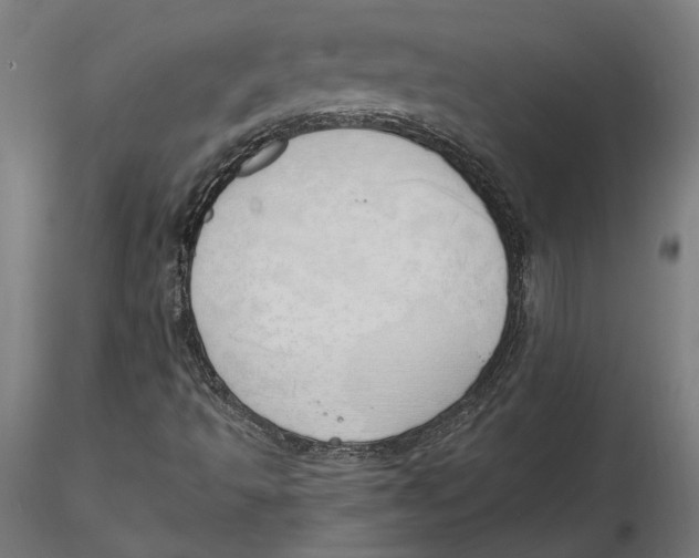 X0000116111493200912211621