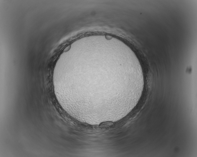 X0000116111494200912211621