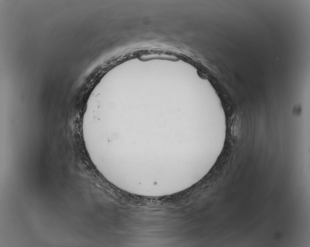 X0000116111495200912211621