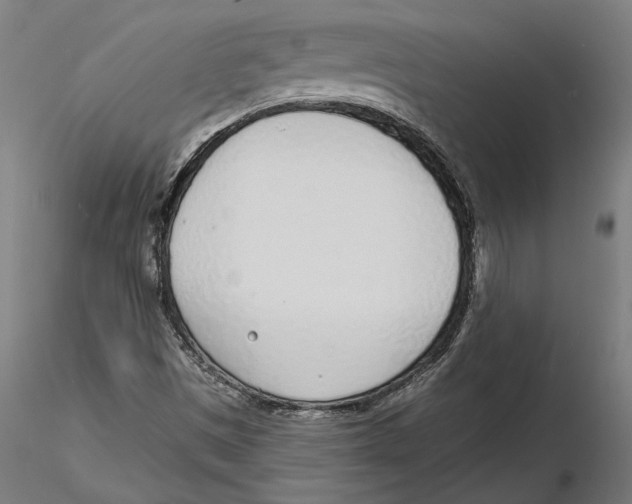 X0000116111497200912211621