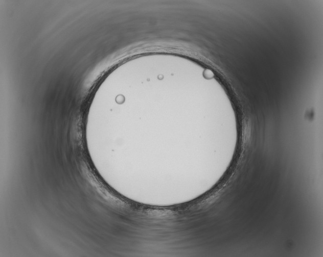 X0000116111498200912211621