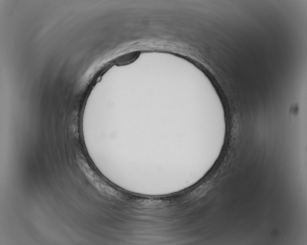 X0000116111499200912211621