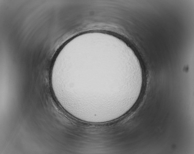 X0000116111505200912211622