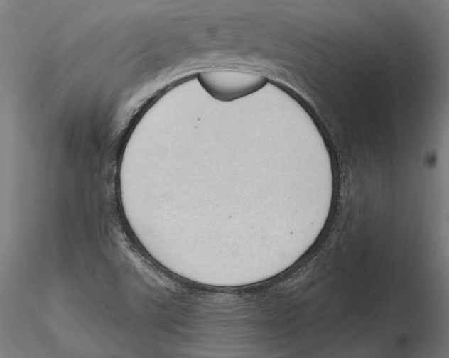 X0000116111507200912211622