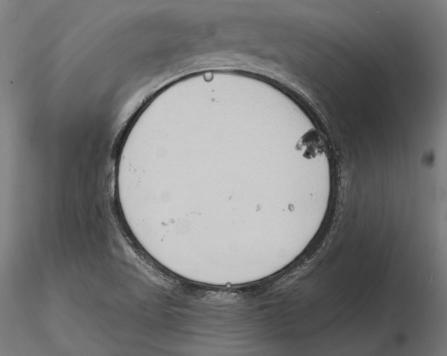 X0000116111509200912211622