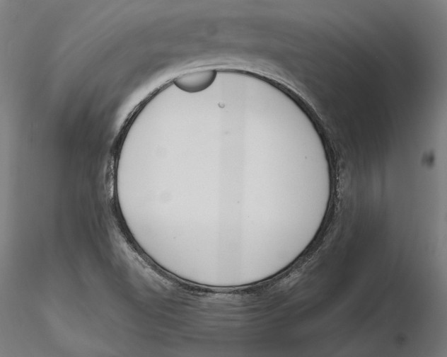 X0000116111510200912211622