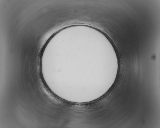 X0000116111511200912211622