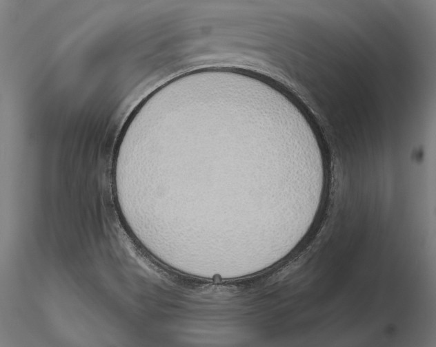 X0000116111513200912211622