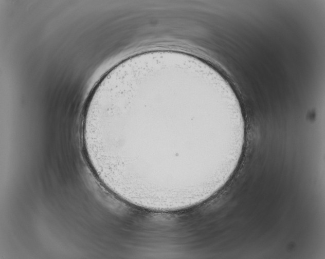 X0000116111514200912211622