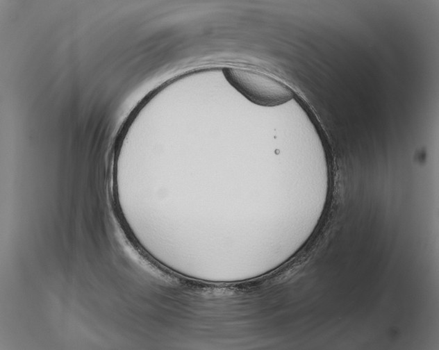 X0000116111515200912211622