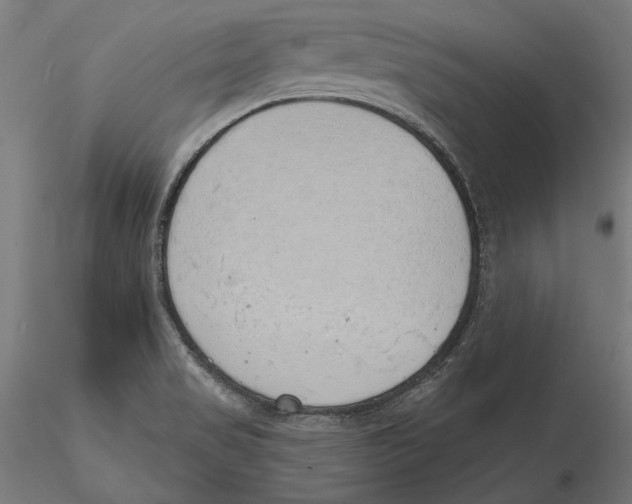 X0000116111517200912211622