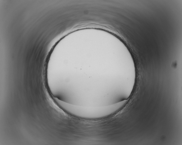 X0000116111518200912211622