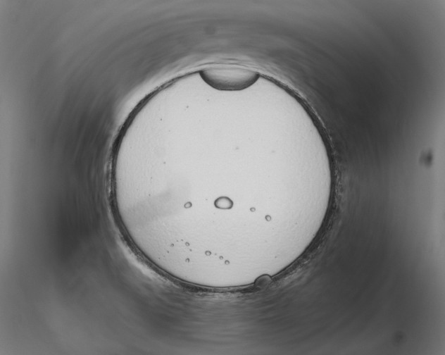 X0000116111519200912211622