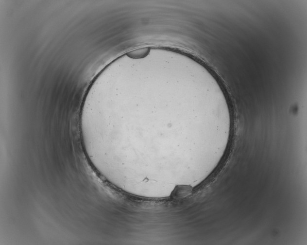 X0000116111521200912211622