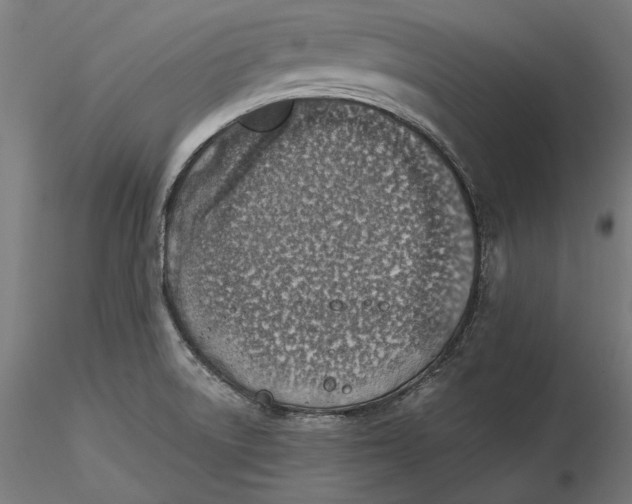 X0000116111522200912211622