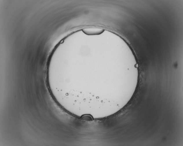 X0000116111523200912211622