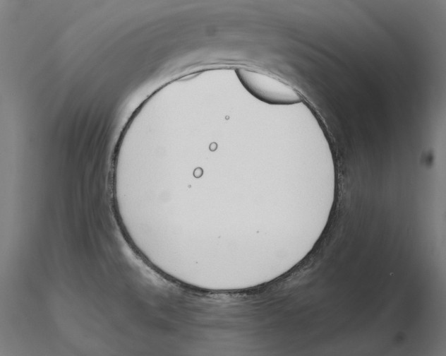 X0000116111527200912211622