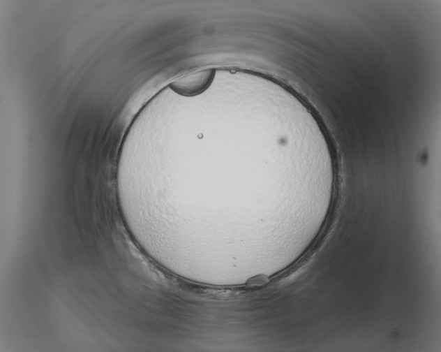 X0000116111529200912211622