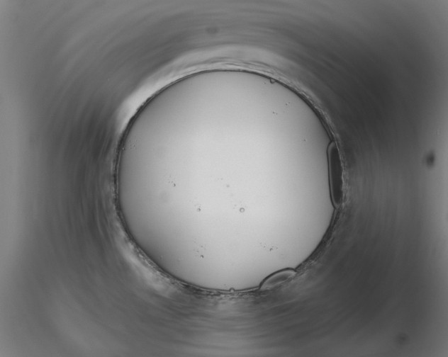 X0000116111530200912211622