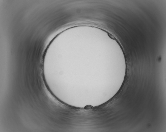 X0000116111531200912211622