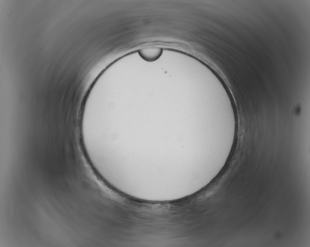 X0000116111533200912211622