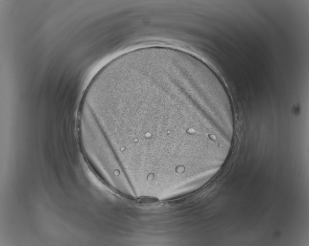 X0000116111535200912211622