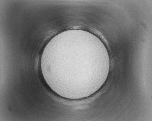 X0000116110018201001041020