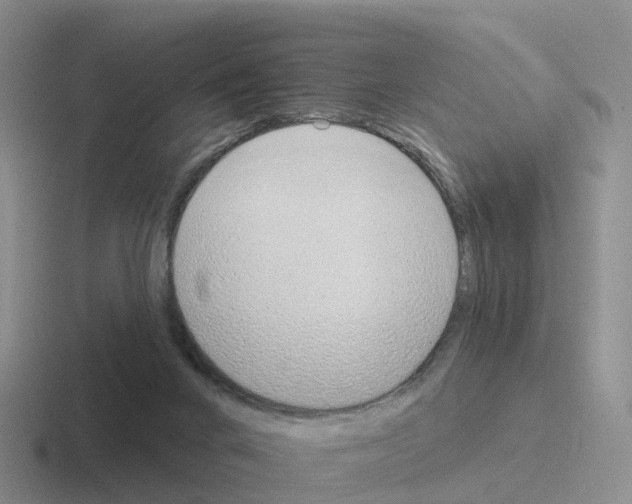 X0000116110024201001041020