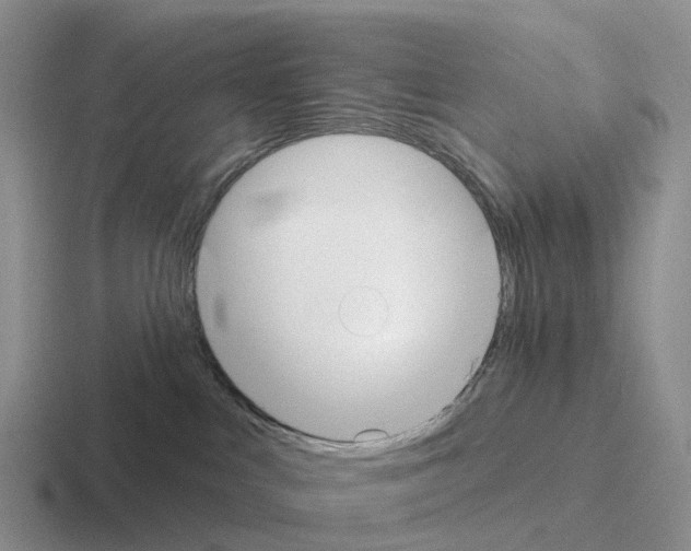 X0000116110043201001041020
