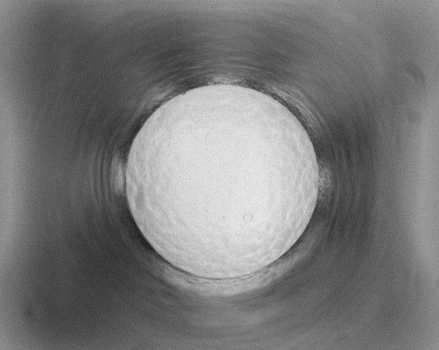 X0000116110046201001041020