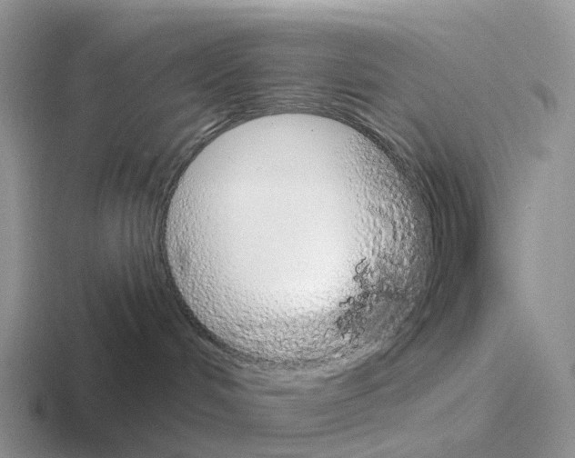 X0000116110048201001041020