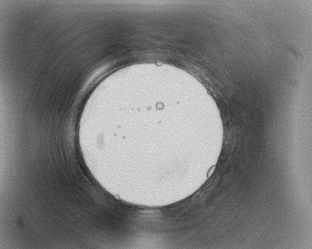 X0000116110053201001041019
