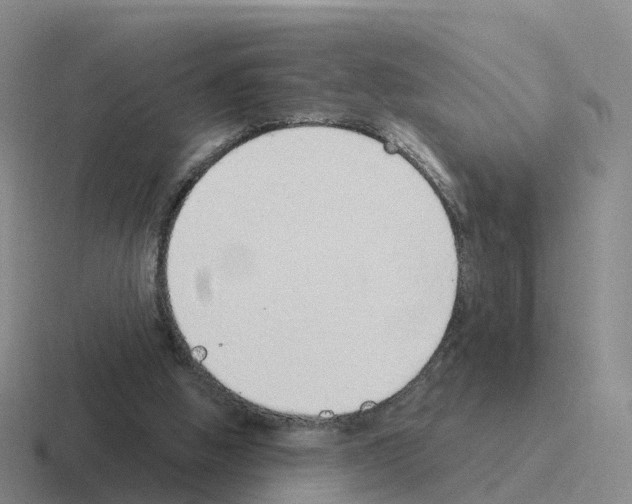 X0000116110058201001041019