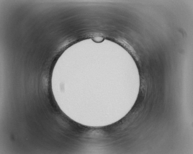 X0000116110063201001041019