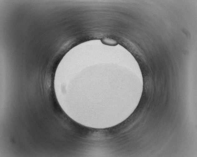 X0000116110072201001041019
