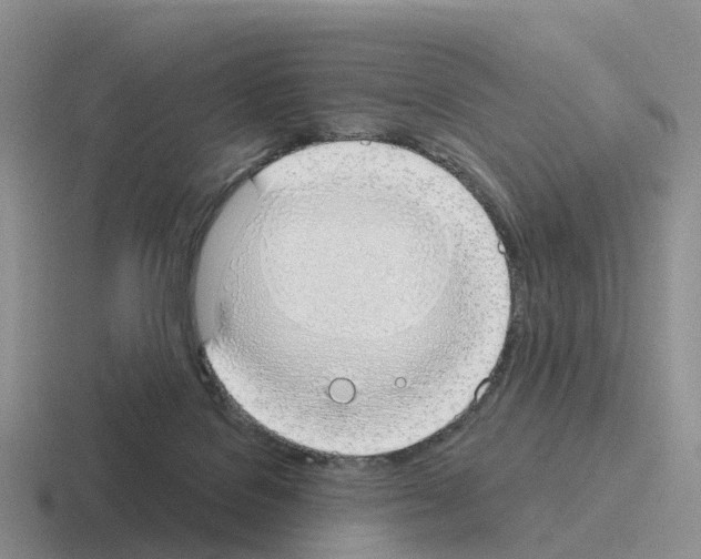 X0000116110076201001041019