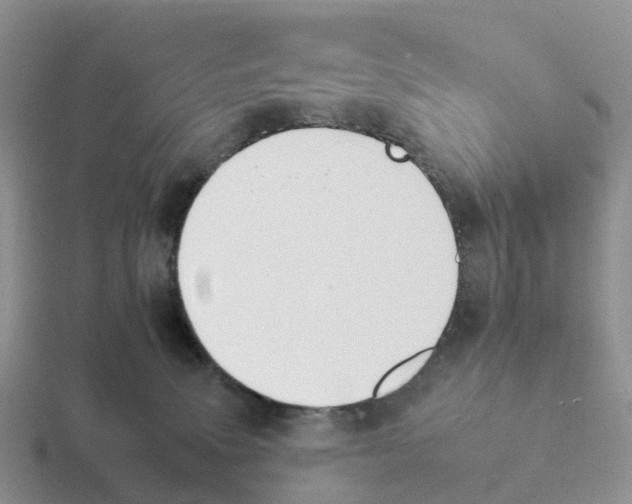 X0000116110083201001041020